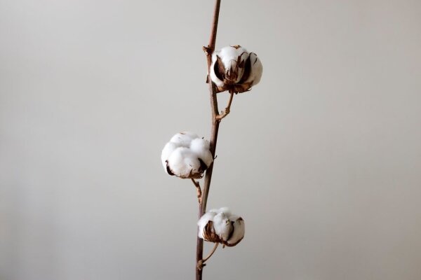 Material science part 1: Cotton as sustainable material for hammocks &amp; hammock chairs - 