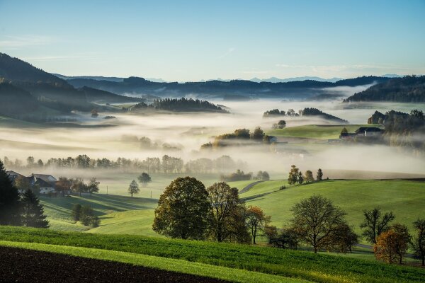 Mühlviertlerisch, the language of the CHICO hammocks: Our dictionary of the Mühlviertler dialect for beginners - 